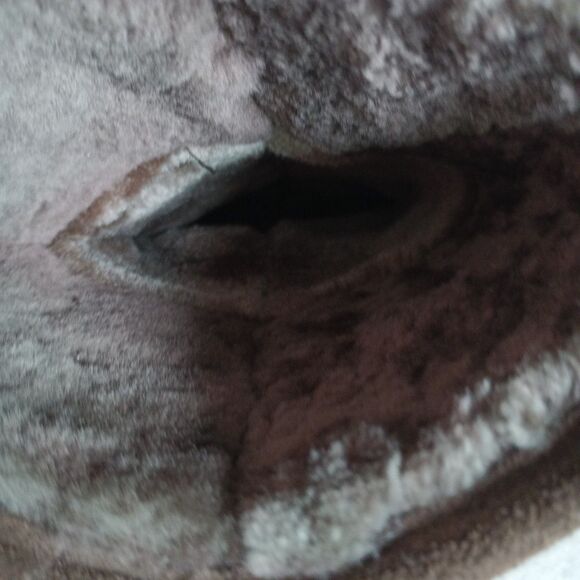 Bjorndal Women’s Size 7 Brown Suede Boots Faux Fur Lined Slip-On Comfort Warm - Picture 11 of 16